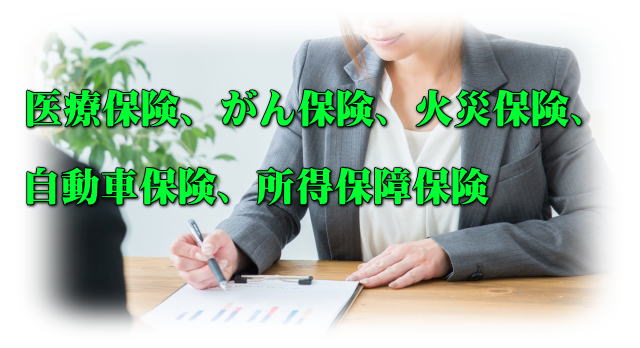 医療保険、火災保険、がん保険、自動車保険